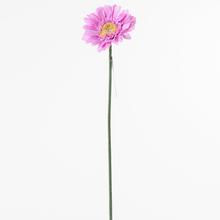 KS GERBERA RUŽOVÁ 45CM - FLORASYSTEM