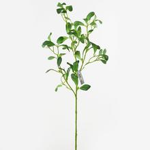 KS IMELO 63CM - FLORASYSTEM