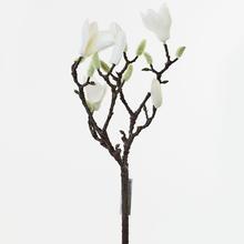 AKCIA! KONÁR MAGNÓLIA BIELA 40CM - FLORASYSTEM