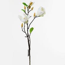 AKCIA! KONÁR MAGNOLIA BIELA 55CM - FLORASYSTEM
