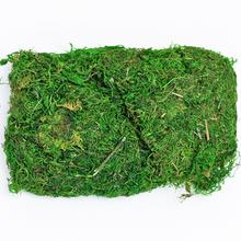 NATUR MACH 50GR - FLORASYSTEM