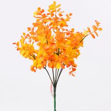 ZÁPICH EUCALYPTUS ORANŽOVÝ 42CM - FLORASYSTEM