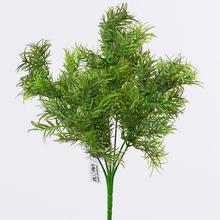 ZÁPICH ASPARAGUS 31CM - FLORASYSTEM