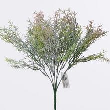 ZÁPICH ASPARAGUS FIAL,ORANŽ 37CM - FLORASYSTEM