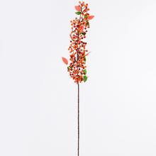 KONÁR BOBULE MIX 4F - FLORASYSTEM