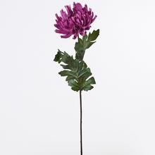 CHRYZ. KS RUŽOVÁ 79X18CM - FLORASYSTEM