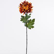 KS CHRYZ. ORANŽ. 60X17CM - FLORASYSTEM