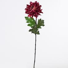 KS CHRYZ. BORDOVO FIALOVÁ 60X17CM - FLORASYSTEM