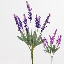 AKCIA!!!KYTICA LEVANDUĽA FIAL./TM.FIAL. - FLORASYSTEM