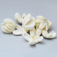 Bielené plody vianočné WILD ORANGE S/10