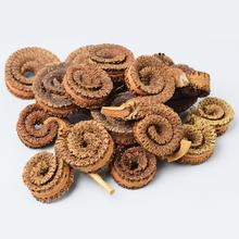 Súprava sušených palmových krúžkov.