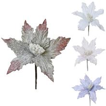AKCIA! KS POINSETTIA BIEL/RUŽ/FIAL/HNED 16CM - FLORASYSTEM