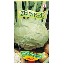 Semená kalerábu bieleho neskorého Gigant od ZELSEED.
