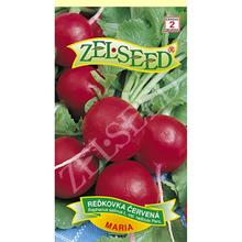 Semená reďkovky červenej Maria od ZELSEED.