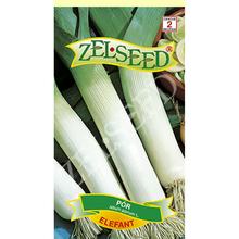 Semená póru Elefant od ZELSEED.