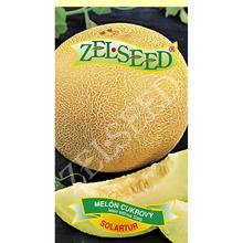 Semená melónu cukrového Solartur od ZELSEED.