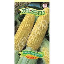 Semená kukurice cukrovej Andrea F1