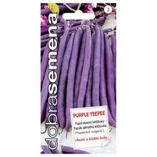 Semená fazule Purple Teepee v obale 10g.