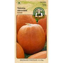 Semená tekvice obrovskej Goliáš.
