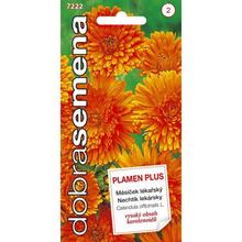 NECHTÍK LEKÁRSKY PLAMEN PLUS 1G - FLORASYSTEM