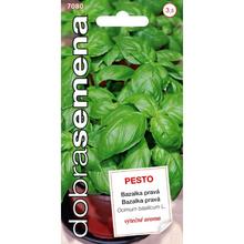 BAZALKA PRAVÁ - PESTO 0,3g - FLORASYSTEM