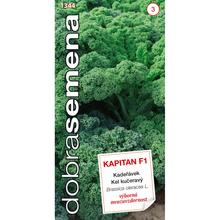 Semená kelu kučeravého Kapitán F1