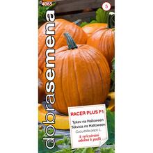 Semená tekvice na Halloween Racer Plus F1.