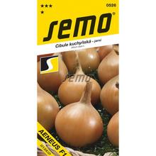 Semená cibule Aeneus F1 - žltá, jarná 2,5g