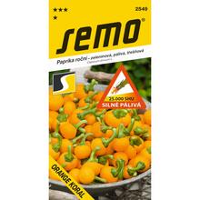 Semená papriky Orange Koral Čereš ostrá 0,6g.