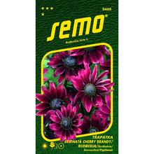 Semená Rudbekia srstnatá Cherry Brandy