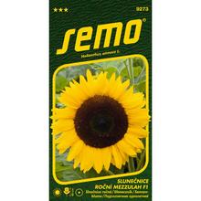 Semená slnečnice ročnej Mezzulah F1