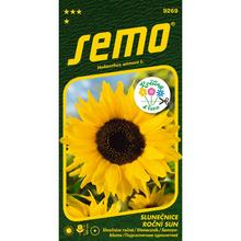Semená slnečnice ročnej SUN 2G od SEMO.