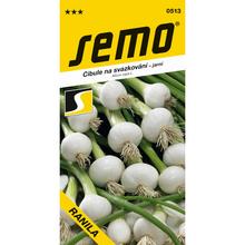 Semená cibule Ranila - biela, jarná, zväzk.