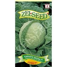 Semená kapusty Skorá Juna F1 od ZELSEED.
