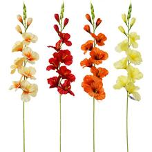 KS GLADIOLA 4F 80cm - FLORASYSTEM