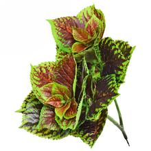AKCIA! 25FLK0811 COLEUS LISTY 50CM - FLORASYSTEM