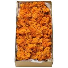 Mach prepar. ORANGE Z047/ 500 g - FLORASYSTEM