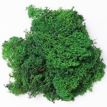 Mach prepar. MOSS GREEN/ 250 g - FLORASYSTEM