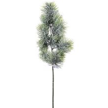 KONÁR ČEČINA OSNEŽ 55CM - FLORASYSTEM