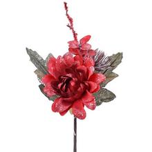 KS DAHLIA ČERV - FLORASYSTEM