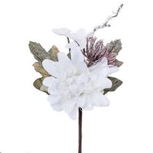 KS DAHLIA BIELE - FLORASYSTEM