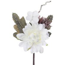 KS DAHLIA KRÉM - FLORASYSTEM