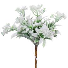 ZÁPICH ZELEŇ OSNEŽ. 16cm - FLORASYSTEM