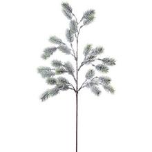 KONÁR ČEČINA 64CM - FLORASYSTEM