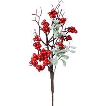 KONÁR BOBULE LISTY ČERVENÉ - FLORASYSTEM