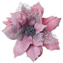 POINSETIA KLIP ST.RUŽ-STRIEB - FLORASYSTEM