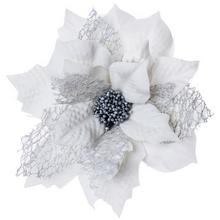 POINSETIA KLIP BIE-SIVÁ 13CM - FLORASYSTEM
