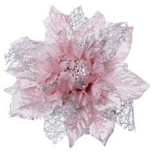 POINSETIA KLIP RUŽ - FLORASYSTEM