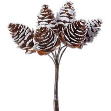 ZAPICH. ŠIŠKY NATUR. S/6 12cm - FLORASYSTEM