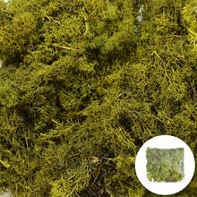 Mach preparát OLIV GREEN 250 g